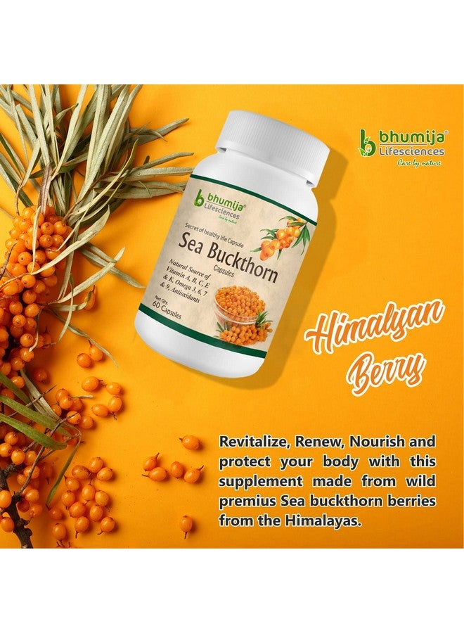 Sea Buckthorn Berry 500 Mg Extract Antioxidant Supplement & Immunity Booster (60 Capsules, 500Mg, Pack Of 3) Natural Source Of Vitamin A, B, C, E, K, Omega 3, 6, 7, 9