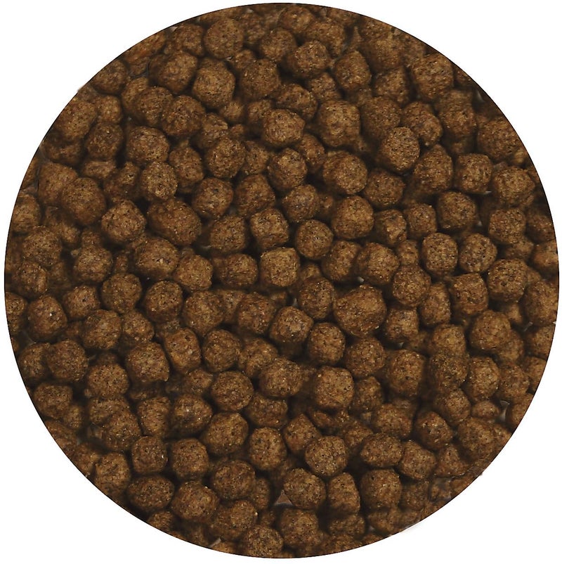 Zoo Med Aquatic Turtle Food Growth Formula 13 oz.