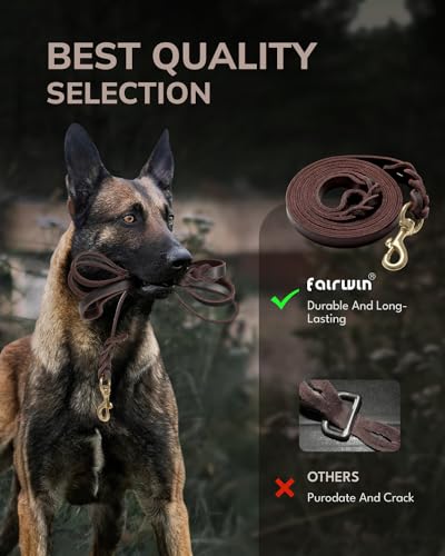 FAIRWIN Braided Leather Dog Training Leash 6 Foot - Dog Leather Leashes Heavy Duty for Large Medium Dogs (Brown, L:3/4" x 6ft) - Image 5