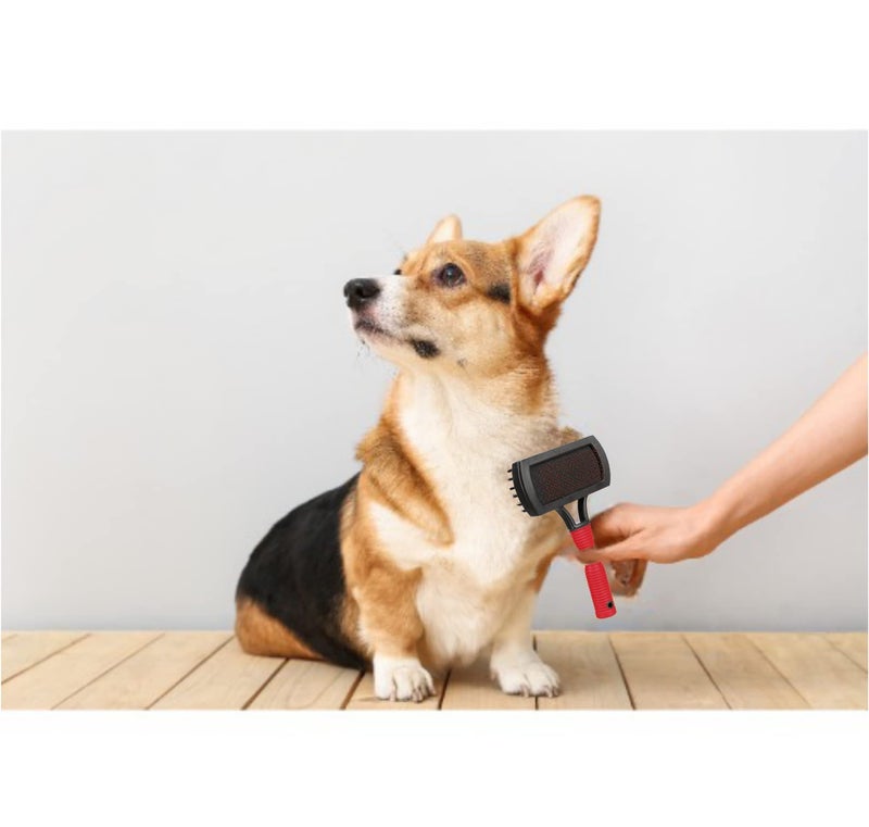 Trixie: - Plastic Double-Sided Soft Dog Brush | Made Out of Plastic, has Soft Nylon Bristles | Detangles and Removes Loose Hair, Gentle Care for Topcoat and Base Coat | Easy to Clean - 10 x 17 cm - Image 5