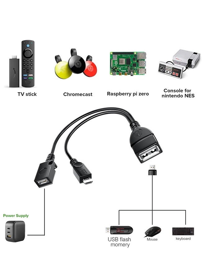 محول 2 في 1 من نوع Micro USB (كابل OTG مع طاقة) بديل للأجهزة المضيفة/بلاي ستيشن كلاسيك وغيرها - عبوة من قطعتين - Image 3