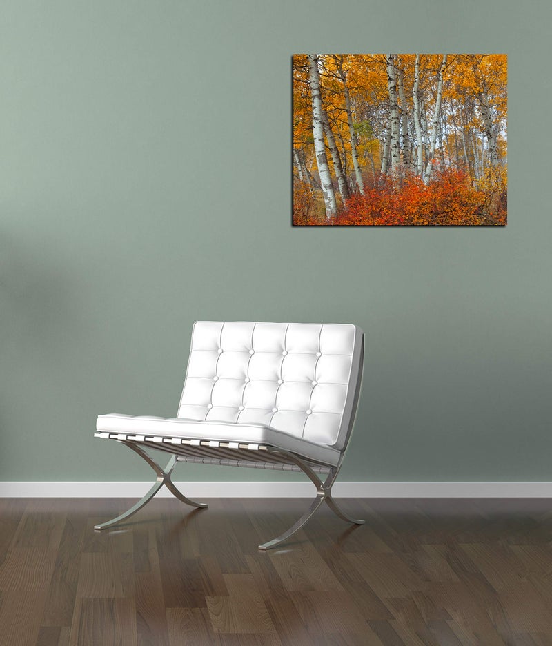 Epic Graffiti 'Morning Aspens' by Jesse Estes, Canvas Wall Art, 12" x 16" - Image 2