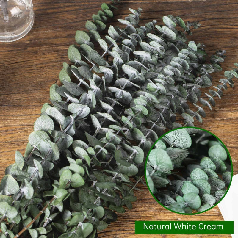 Tavkite 16 Pcs Dried Eucalyptus Stems, 17'' Natural Fresh Eucalyptus Leaves Branches Hanging for Shower, Preserved Real Plant Live Greenery for Home SPA Wall Bathroom Wedding Party Vase Decor - Image 3