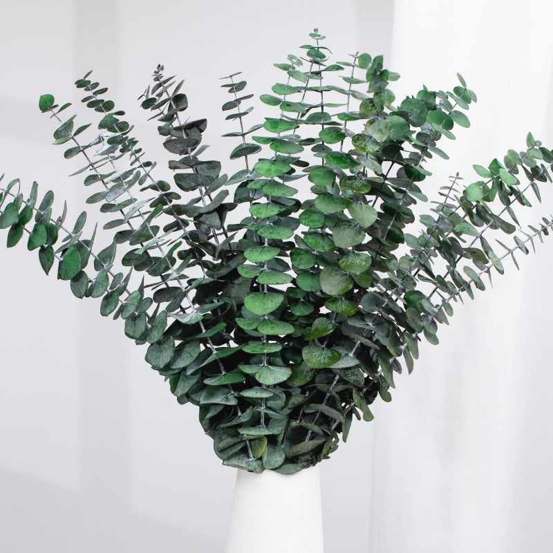 Tavkite 16 Pcs Dried Eucalyptus Stems, 17'' Natural Fresh Eucalyptus Leaves Branches Hanging for Shower, Preserved Real Plant Live Greenery for Home SPA Wall Bathroom Wedding Party Vase Decor - Image 1