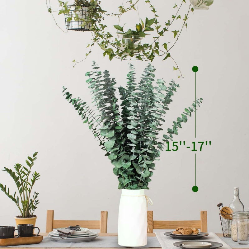 Tavkite 16 Pcs Dried Eucalyptus Stems, 17'' Natural Fresh Eucalyptus Leaves Branches Hanging for Shower, Preserved Real Plant Live Greenery for Home SPA Wall Bathroom Wedding Party Vase Decor - Image 5