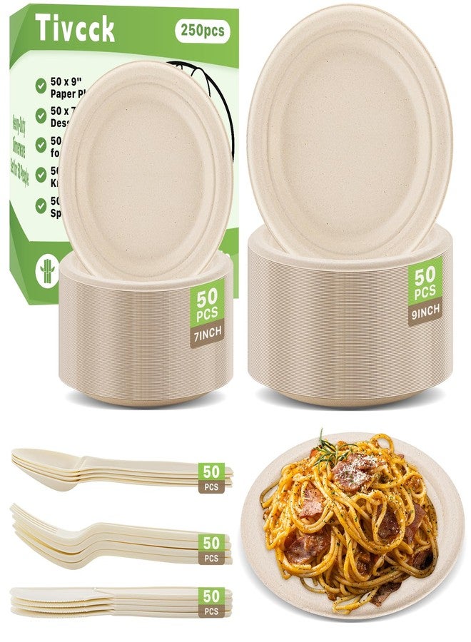 Tivcck 250 PCS Compostable Paper Plates Set,Compostable Plates Sugarcane Utensils,Disposable Dinnerware Set,Include Biodegradable Plates,Extra Long Forks,Knives,Spoons for Party - Image 1