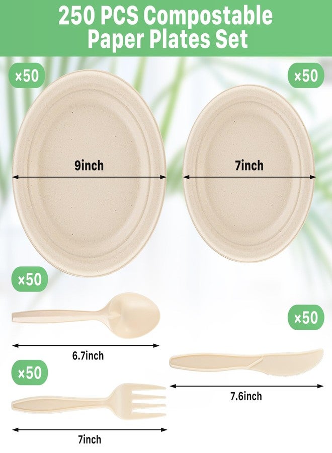 Tivcck 250 PCS Compostable Paper Plates Set,Compostable Plates Sugarcane Utensils,Disposable Dinnerware Set,Include Biodegradable Plates,Extra Long Forks,Knives,Spoons for Party - Image 2