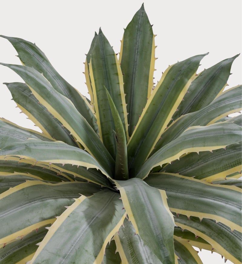 SUNPRAIRIE 32 Inch Tall Large Faux Agave Plant with Two-Tone Sawtooth Edged Leaves; Planted in Black Pot with Real Stone Pebbles. Large Artificial Plants Indoor and Outdoor. - Image 4