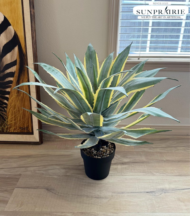 SUNPRAIRIE 32 Inch Tall Large Faux Agave Plant with Two-Tone Sawtooth Edged Leaves; Planted in Black Pot with Real Stone Pebbles. Large Artificial Plants Indoor and Outdoor. - Image 3