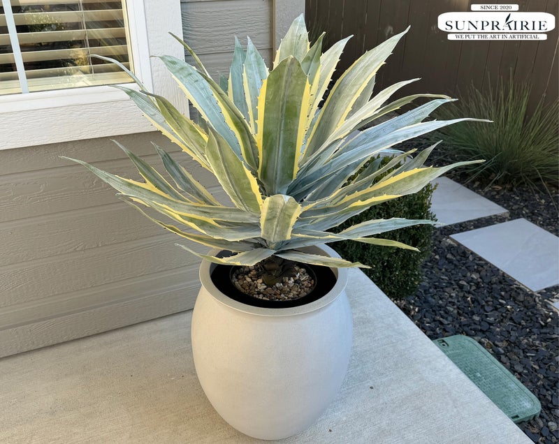 SUNPRAIRIE 32 Inch Tall Large Faux Agave Plant with Two-Tone Sawtooth Edged Leaves; Planted in Black Pot with Real Stone Pebbles. Large Artificial Plants Indoor and Outdoor. - Image 5