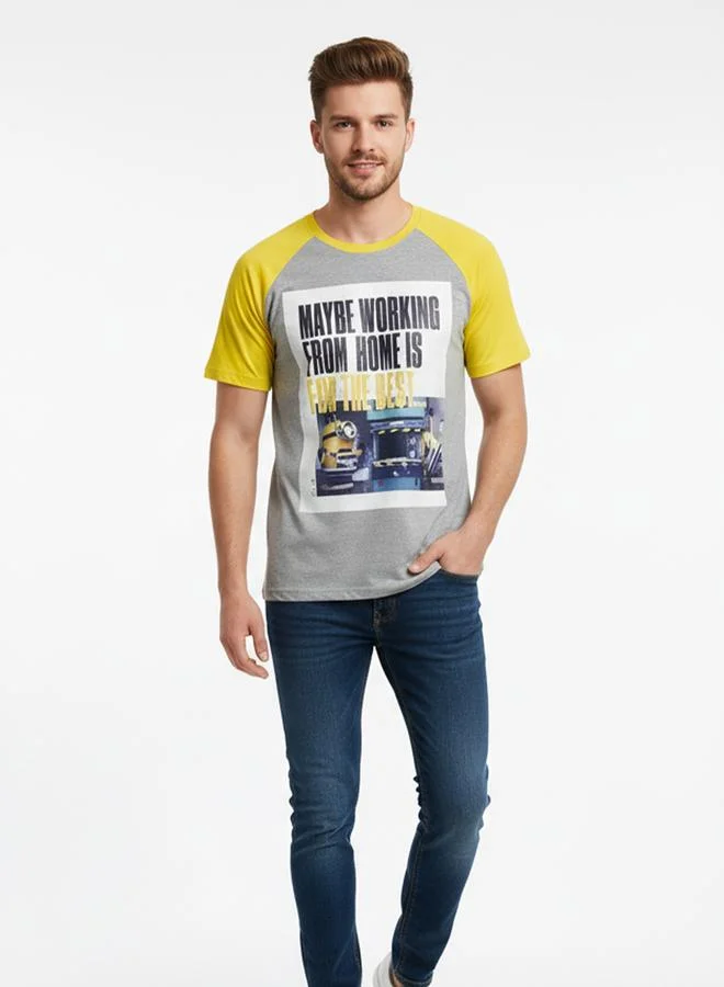 Minions Men Graphic Raglan Sleeves T-Shirt