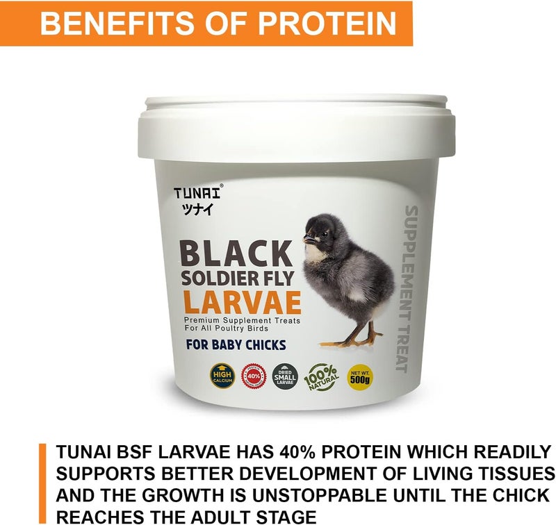 Tunai Black Soldier Larvae | 500g | 60X Calcium, Fortified with 40% Protein Energy, Natural Supplement Treat for Poultry, Hen, Chicken, cockBaby Chicken - Image 4