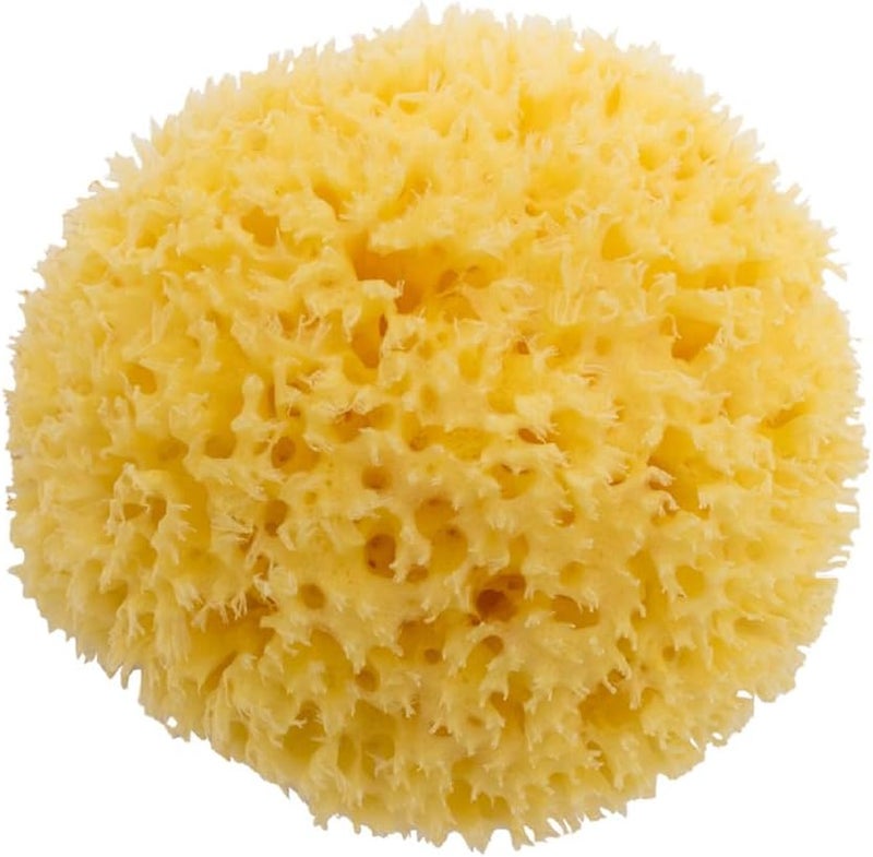 Bellini Premium Natural Honeycomb Sea Sponge – 18 cm – Made from Natural Sea Sponge – Hypoallergenic Baby Bath Sponge – Biodegradable, Eco-Friendly & Gentle for Newborns and Delicate skin - Image 1