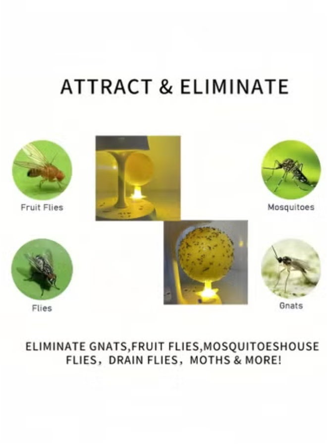 3 Pack Fruit Fly Traps, Sticky Fruit Fly Trap Balls, Flying Insect Trap, Luminous Fly Trap Balls for Flower Pots, Balconies, Courtyards, Orchards, Kitchens - Image 4