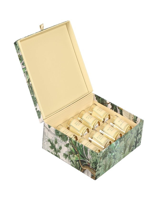 PROSPERRO LUMO by Parkash Candles Noor Luxury Scented Candle Gift Set - Soy Wax Jar Candles with Floral & Earthy Fragrances | Premium Wellness Collection (8) - Image 3