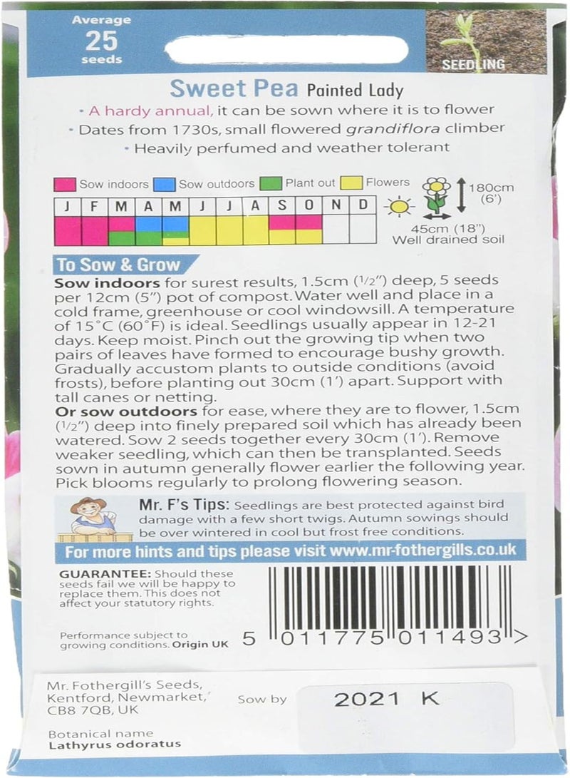 GGOOT 21510 Flower Seeds, Sweet Pea Painted Lady (grandiflora), Pink - Image 2