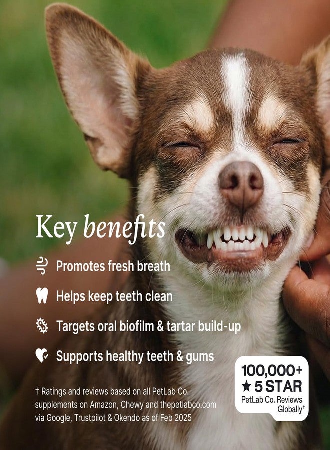 PetLab Co. ProBright Dental Powder - Dog Breath Freshener - Teeth Cleaning Made Easy – Targets Tartar & Bad Breath - Formulated for Medium Size Dogs - Packaging May Vary - Image 3