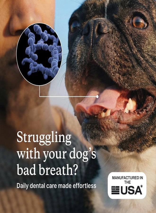 PetLab Co. ProBright Dental Powder - Dog Breath Freshener - Teeth Cleaning Made Easy – Targets Tartar & Bad Breath - Formulated for Medium Size Dogs - Packaging May Vary - Image 2