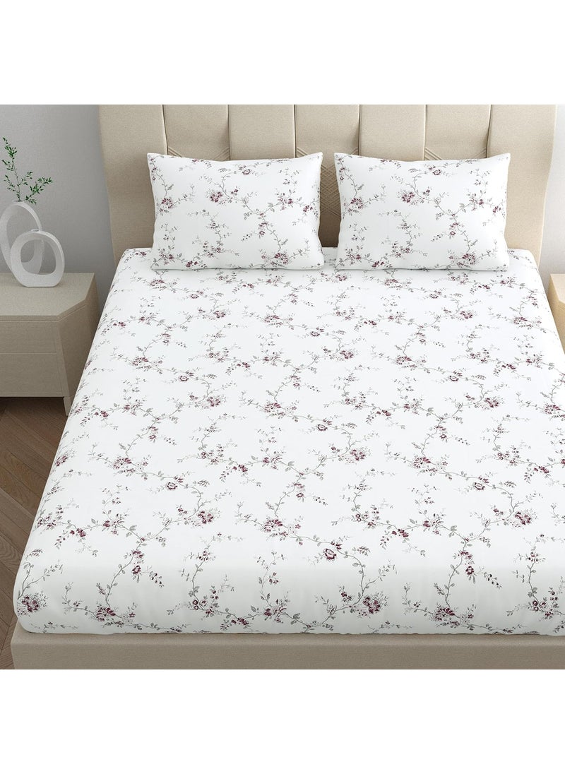 LINENWALAS LINENWALAS 100% Cotton Fitted Bed Sheet for King Size Bed, Printed All Around Elastic Bedsheet (72 x 78 Inches) with 2 Pillow Covers | 210 TC Soft, Breathable, Luxury Bedsheet (Vineyard)  - Image 4