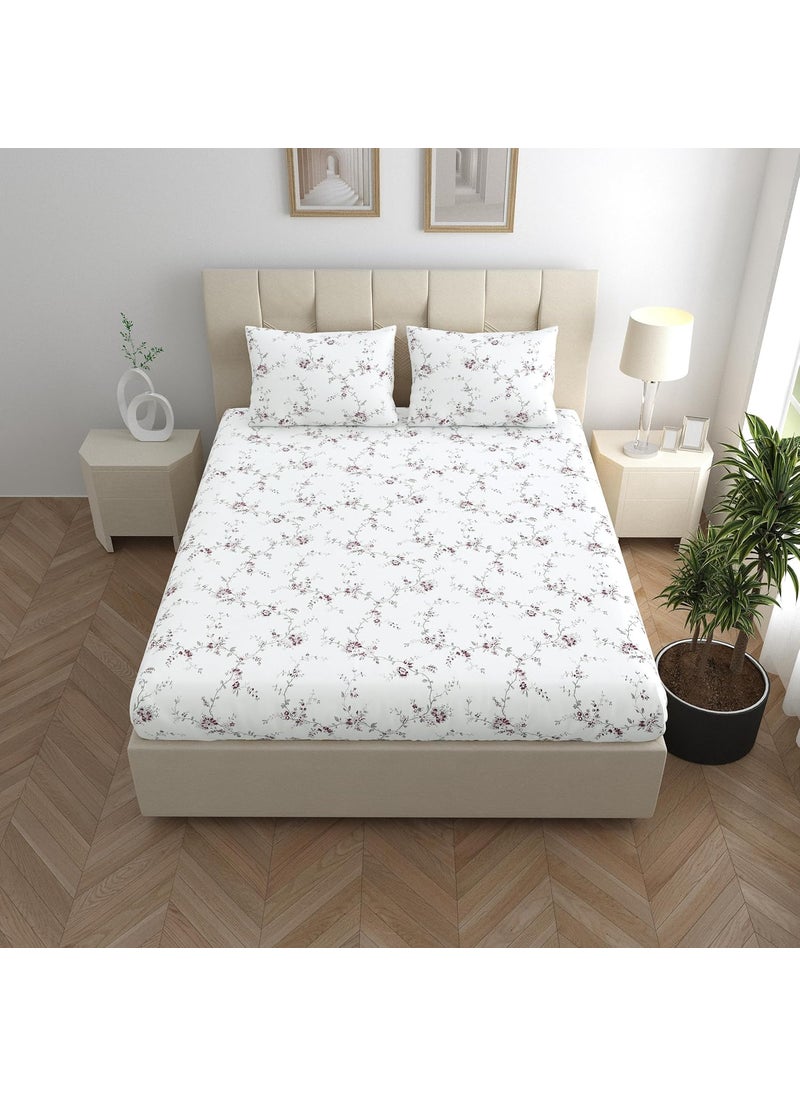 LINENWALAS LINENWALAS 100% Cotton Fitted Bed Sheet for King Size Bed, Printed All Around Elastic Bedsheet (72 x 78 Inches) with 2 Pillow Covers | 210 TC Soft, Breathable, Luxury Bedsheet (Vineyard)  - Image 3