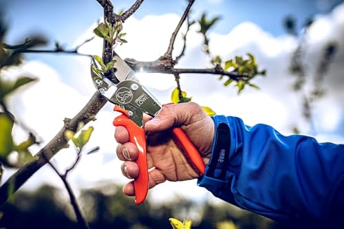 Original LÖWE 10 Professional Anvil Pruning Shears 10.107 with Bypass Geometry - Innovative Sharp Shears with Ergonomic Handles and Non-Stick Steel Blade for Pruning Work in Orcharding - Image 2