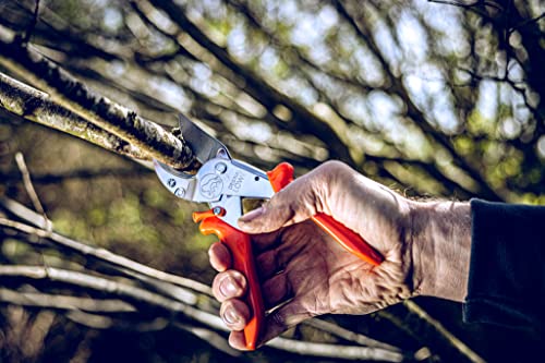 Original LÖWE 10 Professional Anvil Pruning Shears 10.107 with Bypass Geometry - Innovative Sharp Shears with Ergonomic Handles and Non-Stick Steel Blade for Pruning Work in Orcharding - Image 5