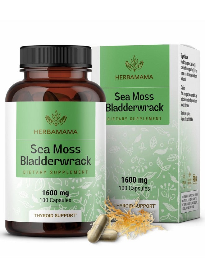 HERBAMAMA Irish Sea Moss Capsules 1600mg - Immune Support with Sea Moss Bladderwrack Dietary Supplement - Vegan, Non-GMO Overall Well-Being Support, 100 Caps, 50-Day Supply - Image 1