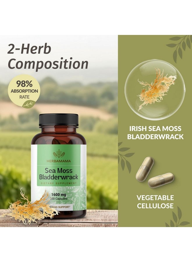 HERBAMAMA Irish Sea Moss Capsules 1600mg - Immune Support with Sea Moss Bladderwrack Dietary Supplement - Vegan, Non-GMO Overall Well-Being Support, 100 Caps, 50-Day Supply - Image 4