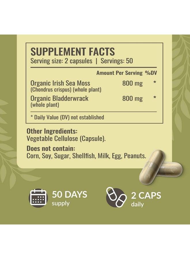 HERBAMAMA Irish Sea Moss Capsules 1600mg - Immune Support with Sea Moss Bladderwrack Dietary Supplement - Vegan, Non-GMO Overall Well-Being Support, 100 Caps, 50-Day Supply - Image 3