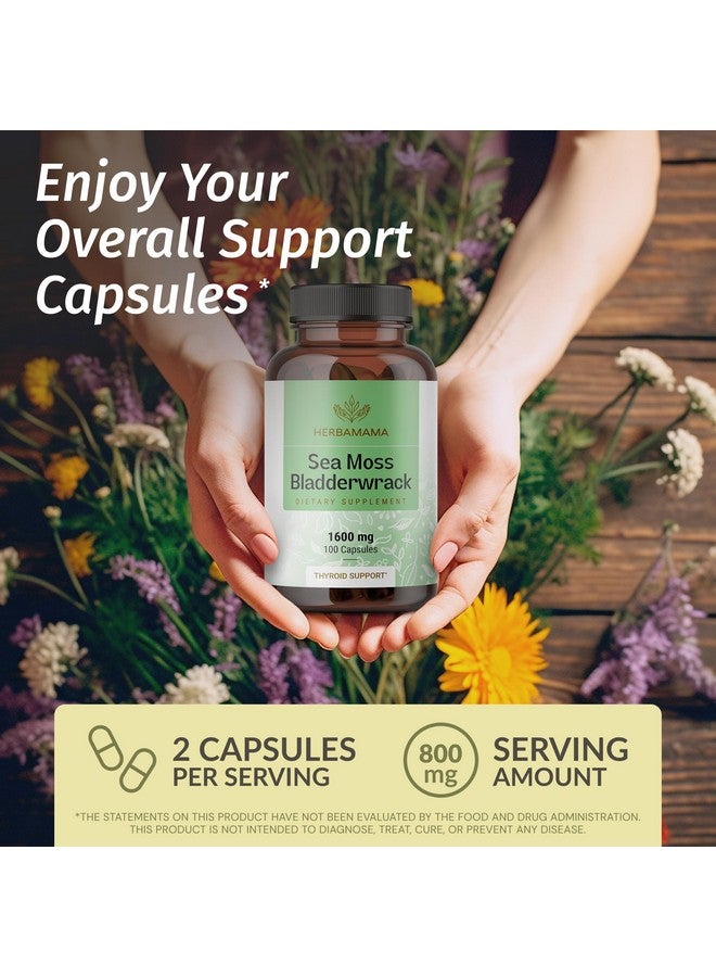 HERBAMAMA Irish Sea Moss Capsules 1600mg - Immune Support with Sea Moss Bladderwrack Dietary Supplement - Vegan, Non-GMO Overall Well-Being Support, 100 Caps, 50-Day Supply - Image 2