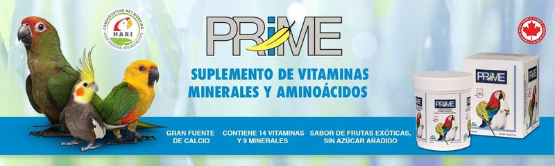 Hari Hagen Prime Parrot Vitamin, Mineral and Amino Acid Supplement for Seed Eating Birds, 1.1 oz - Image 2