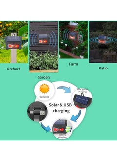 Ultrasonic Cat Repellent 360° Solar Outdoor Fox Repellent IP66 Waterproof Animal Insect Repellent for Garden with LED Flash Solar Powered/USB Charging, Fox Bird Squirrel Deterrent - pzsku/ZFEAFBB6073515AF6896EZ/45/_/1727338028/420297f8-c332-4f16-8ccb-32eb73f4a4a8