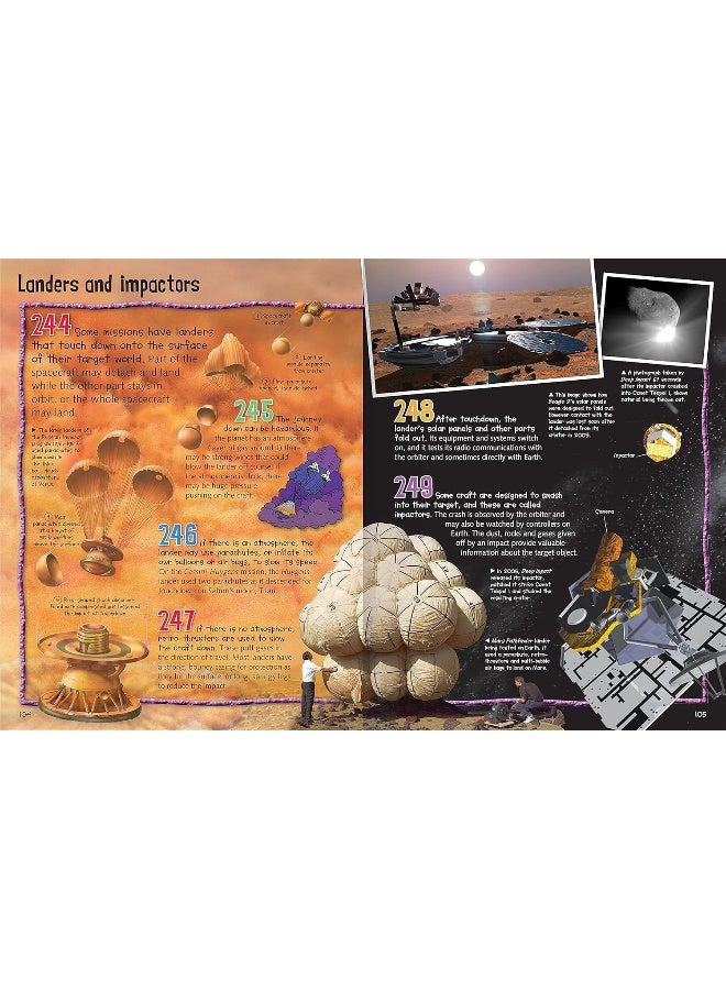 Wild About Space - Image 3