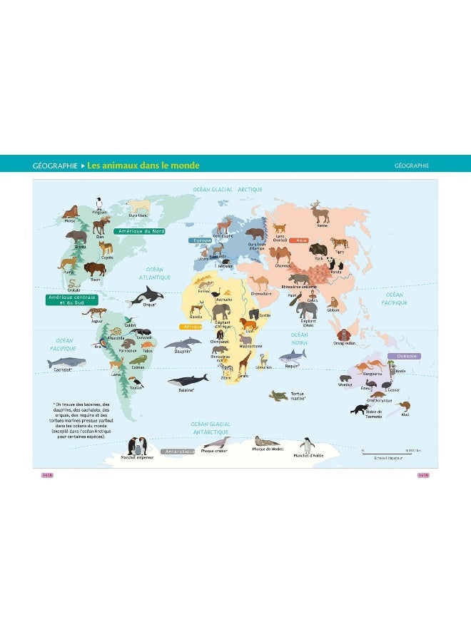 Le Robert Junior Illustré et son dictionnaire en l - Image 5