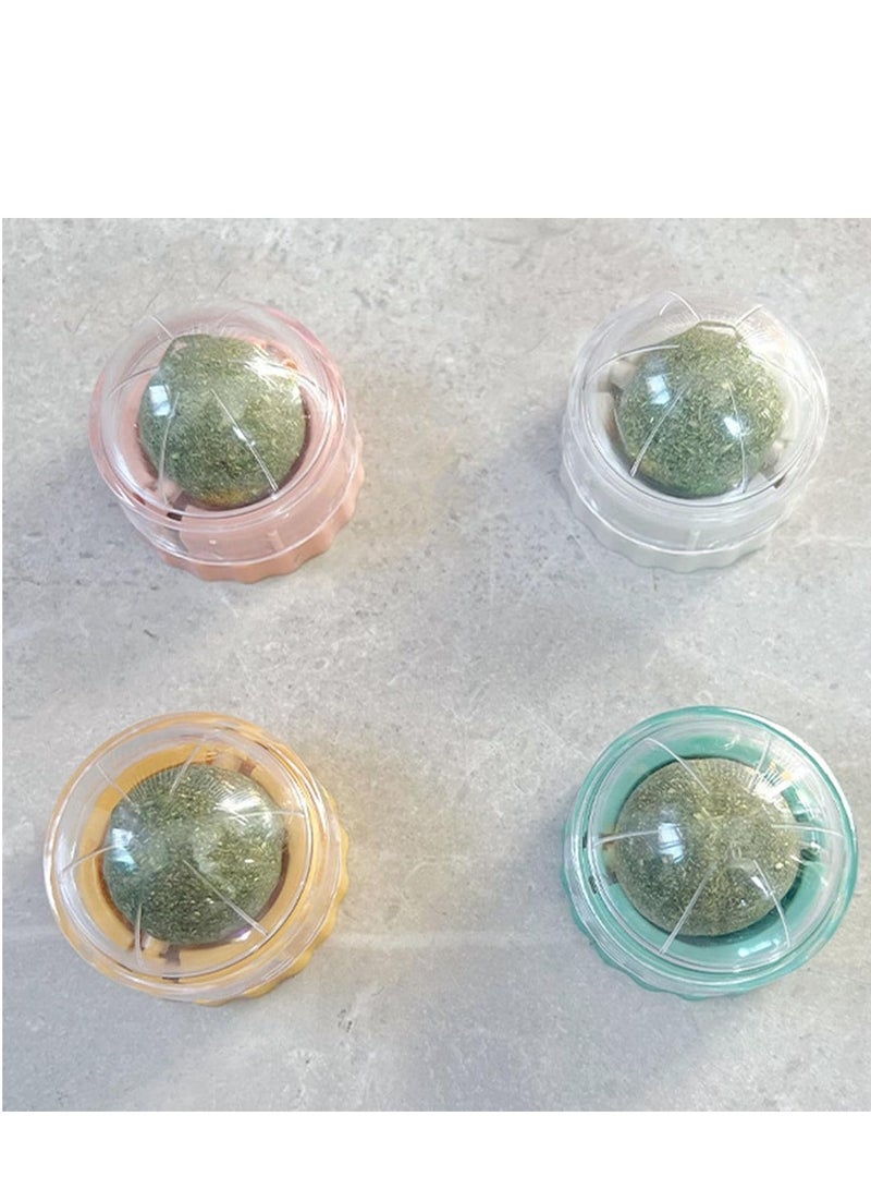 لعبة كرة حائطية من النعناع البري للقطط، تصميم لاصق للأسنان، ينعش التنفس، لعبة للقطط على شكل رسوم متحركة - Image 3