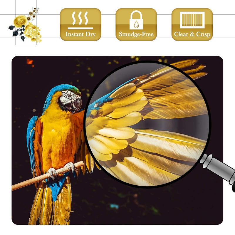 A-SUB Premium Photo Paper Luster 11x17 Inch 66lb for Inkjet Printers 50 Sheets, Single Sided - Image 4