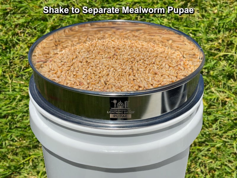 Mealworm Farming Solutions MFS' D-11 Lightning Sifter Mealworm Pupae Sifting Pan (2nd Gen) - Image 4