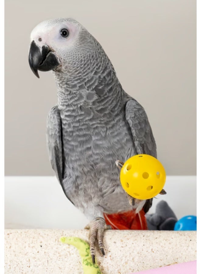 PSITTACUS High Energy Formula - Premium Daily Food for Parrots | African Grey & Large Parrots - 100% NON GMO - 800g - Image 5