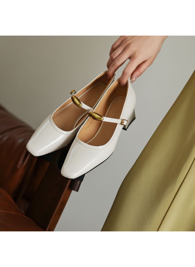 AME Vintage Mary Jane Shoes 2025 New Collection, Adjustable Strap, Versatile Commuting Chunky Heel Pumps - Image 2