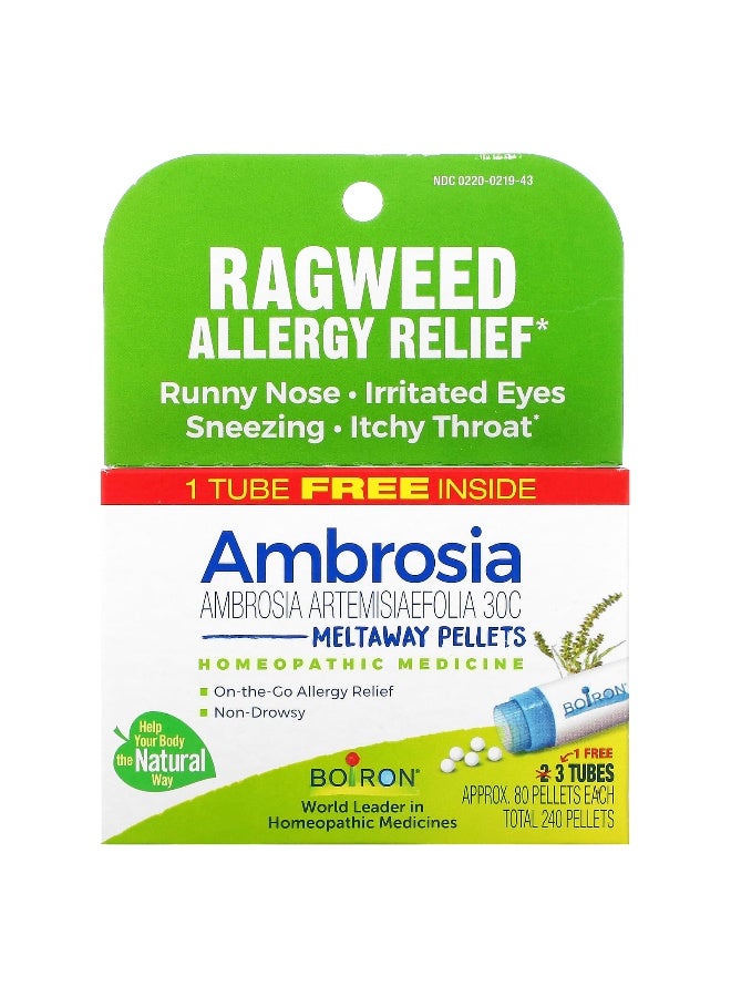 Boiron Boiron, Ambrosia, Ragweed Allergy Relief, Meltaway Pellets, 3 Tubes, 80 Pellets Each - Image 1