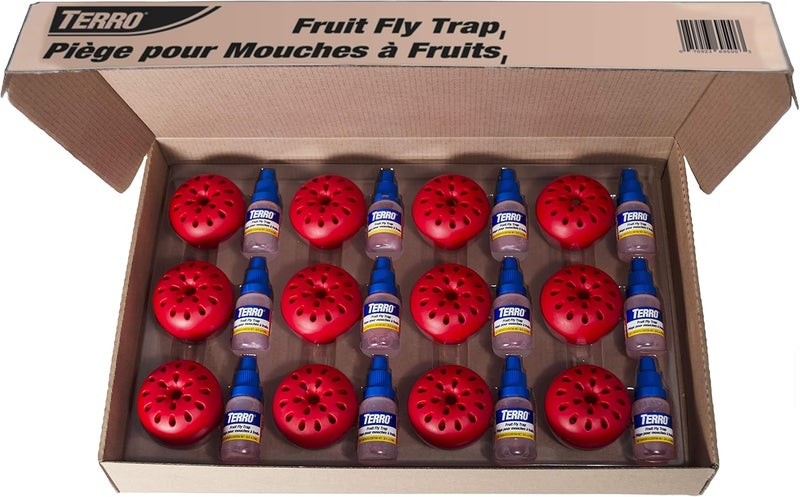 Terro T2512 Ready-to-Use Indoor Fruit Fly Killer and Trap with Built in Window - 12 Traps + 540 day Lure Supply - Image 1