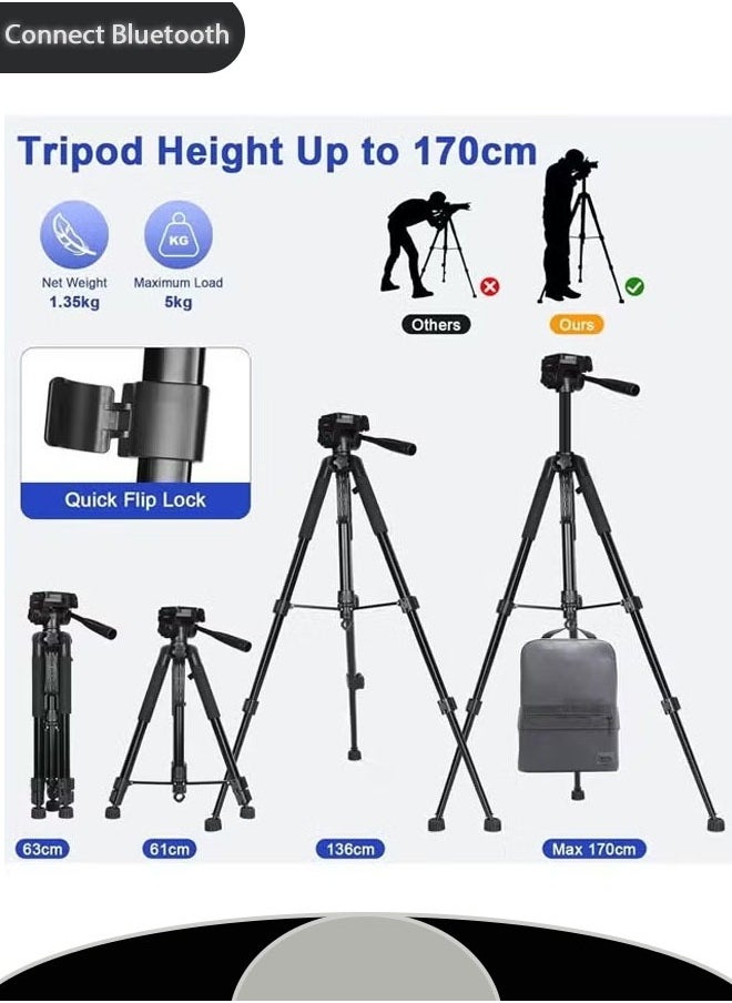 Generic - Slr Camera Tripod, Photography And Video Stand, Portable Micro Single Tripod, Mobile Phone Stand, Can Be Used For Selfie Live Broadcast, Desktop Fill Light - Image 1