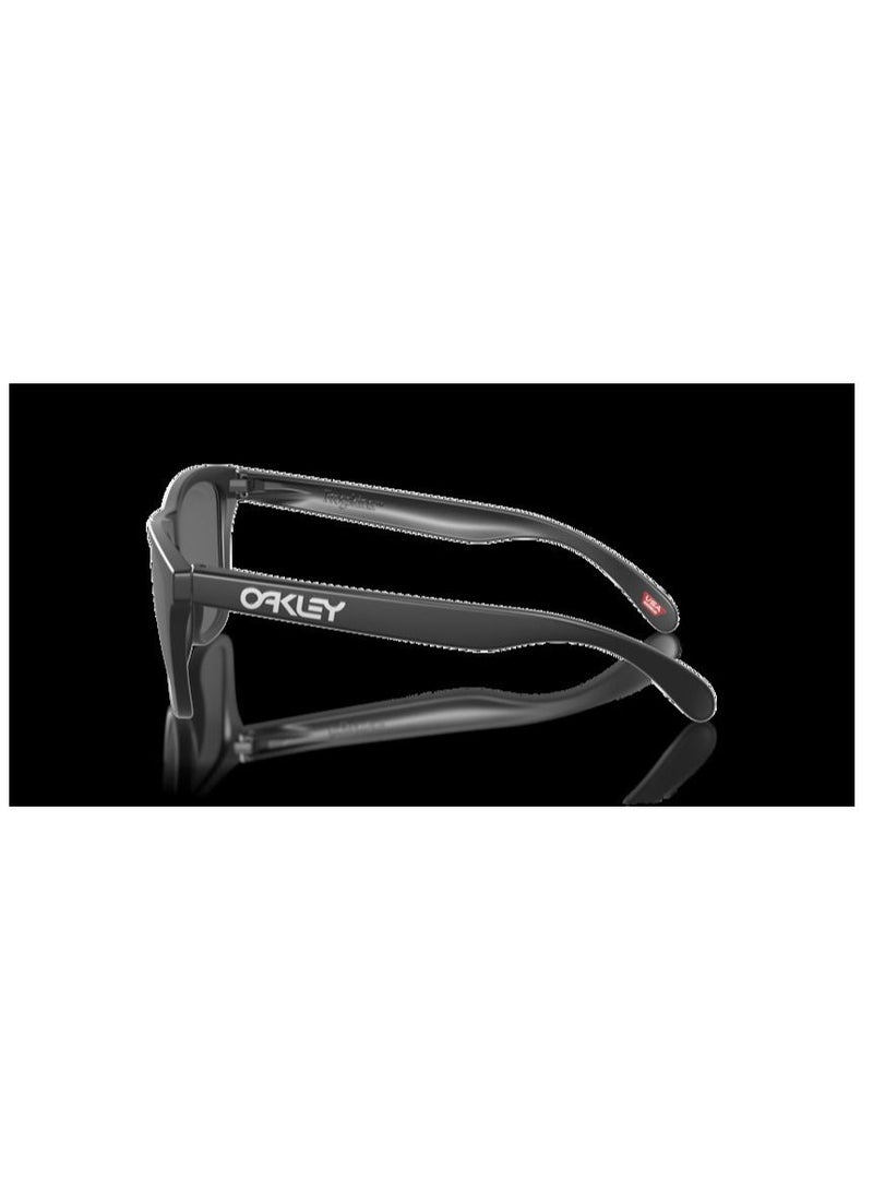 OAKLEY Oakley Frogskins Unisex Sunglasses 0OO901355 Prizm black polarized - Image 5