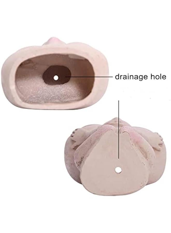 يوليجو وعاء زراعة للوجه زهور نباتات عصاري لطيف من الراتنج مع فتحة تصريف عيون مغلقة للنباتات الداخلية والخارجية ميكنج تيك ازرق - Image 5