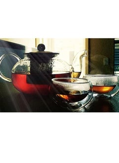 Tealand Borosilicate Heat Resistant Glass Teapot with Removable Stainless Steel Infuser for Loose Tea and Tea Maker ( 0.8 Liter)  - Image 4