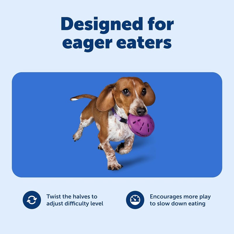 PetSafe Busy Buddy Twist 'n Treat Dispensing Dog Toy for Small Dogs - Image 4