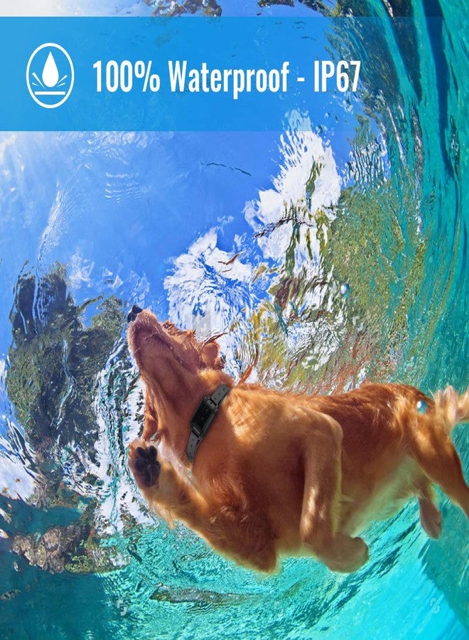 Petrainer Training Collar for Dogs - Waterproof Rechargeable Dog Training E-Collar with 3 Safe Correction Remote Training Modes, Static, Vibration, Beep for Dogs Small, Medium, Large - Image 3