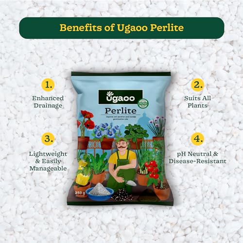 Ugaoo Perlite for Gardening Potting Soil, Indoor & Outdoor, Hydroponics and Horticulture Potting Mix- 250 Grams - Image 5
