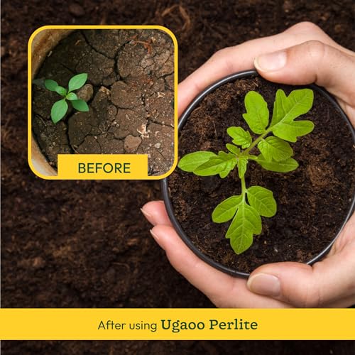 Ugaoo Perlite for Gardening Potting Soil, Indoor & Outdoor, Hydroponics and Horticulture Potting Mix- 250 Grams - Image 3