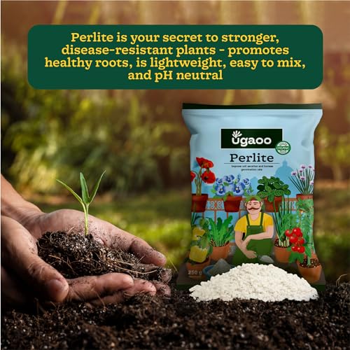 Ugaoo Perlite for Gardening Potting Soil, Indoor & Outdoor, Hydroponics and Horticulture Potting Mix- 250 Grams - Image 2
